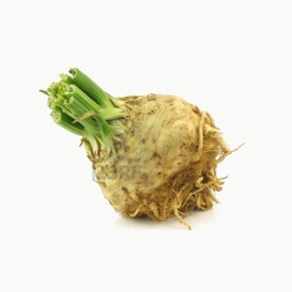 root celery សម្រាប់ osteochondrosis មាត់ស្បូន